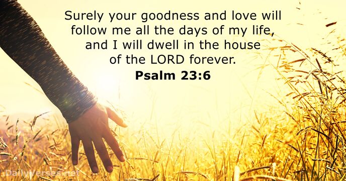 Psalm 23 6 Bible Verse DailyVerses