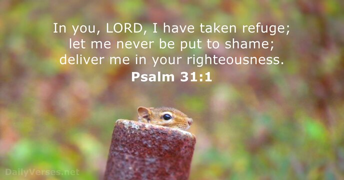 Psalm 31:1 - Bible verse - DailyVerses.net