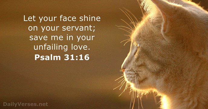Psalm 31 16 Bible Verse DailyVerses