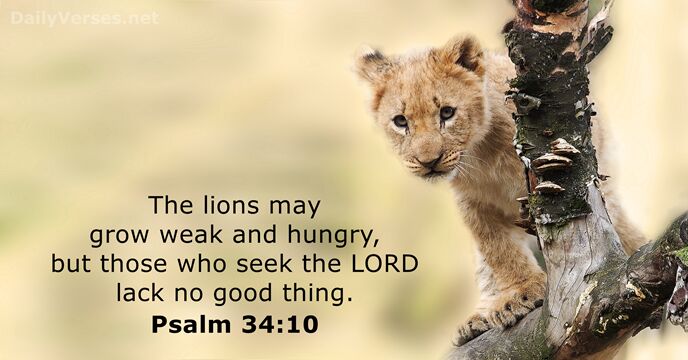 The lions may grow weak and hungry, but those who seek the… Psalm 34:10