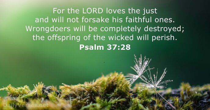 For the LORD loves the just and will not forsake his faithful… Psalm 37:28
