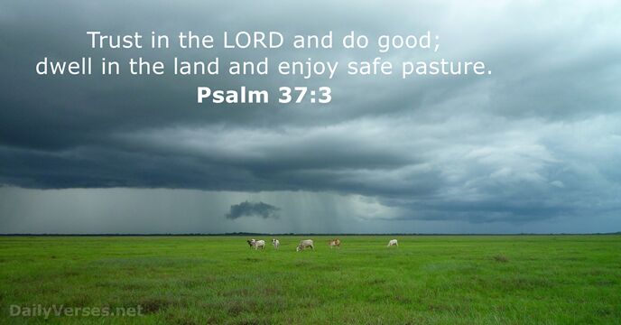 Psalm 37:3