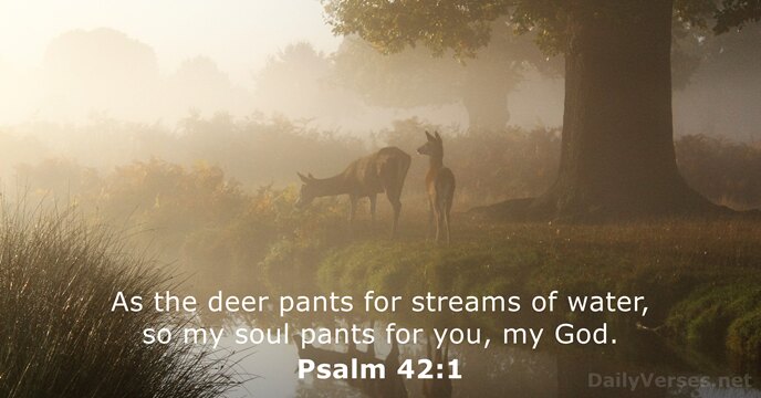 As the deer pants for streams of water, so my soul pants… Psalm 42:1