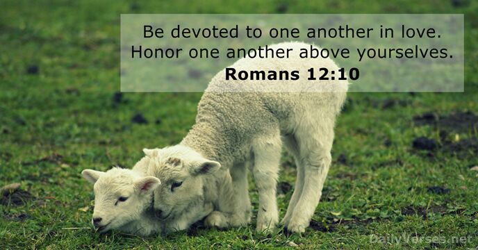 Romans 12:10