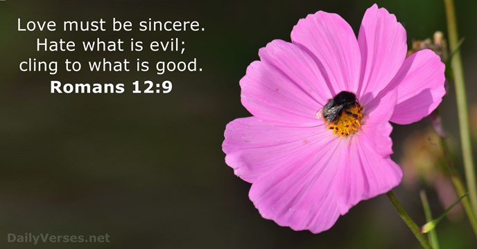 Love must be sincere. Hate what is evil; cling to what is good. Romans 12:9