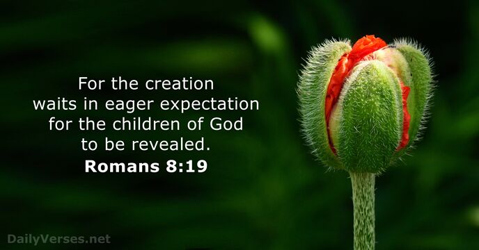 For the creation waits in eager expectation for the children of God… Romans 8:19