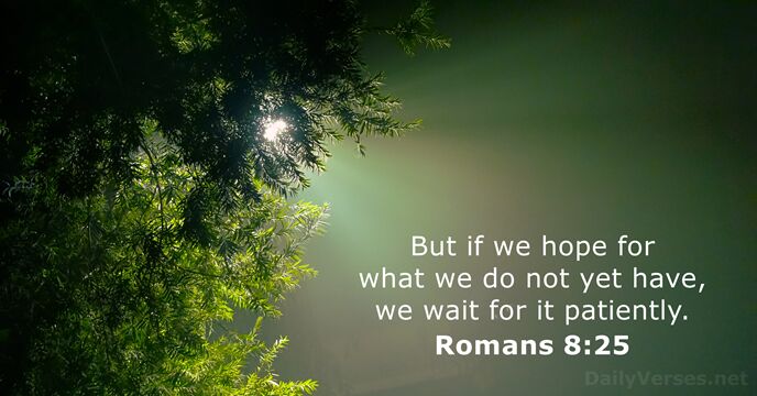 Romans 8 25 Bible Verse Of The Day DailyVerses