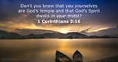 1 Corinthians 3:16