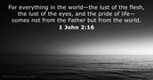 1 John 2:16