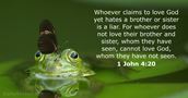 1 John 4:20