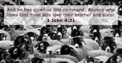 1 John 4:21