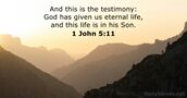 1 John 5:11