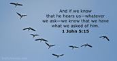 1 John 5:15