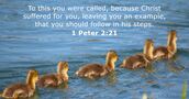 1 Peter 2:21