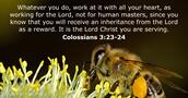 Colossians 3:23-24