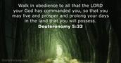 Deuteronomy 5:33