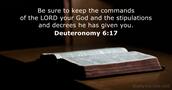 Deuteronomy 6:17