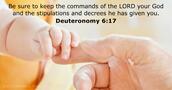 Deuteronomy 6:17