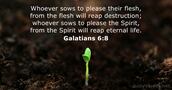 Galatians 6:8