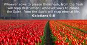 Galatians 6:8