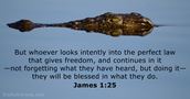 James 1:25