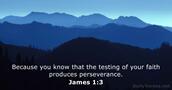 James 1:3