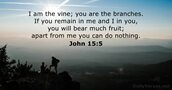 John 15:5