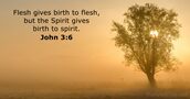 John 3:6