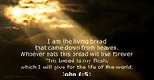 John 6:51