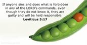 Leviticus 5:17