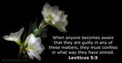 Leviticus 5:5