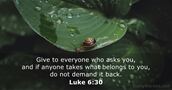 Luke 6:30