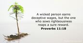 Proverbs 11:18