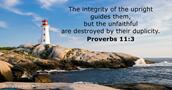 Proverbs 11:3