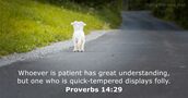 Proverbs 14:29