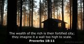 Proverbs 18:11