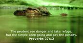 Proverbs 27:12