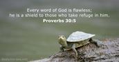 Proverbs 30:5