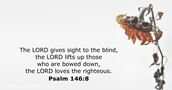 Psalm 146:8