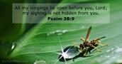 Psalm 38:9