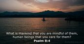 Psalm 8:4