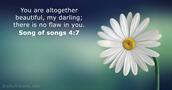 Song of songs 4:7