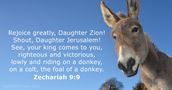 Zechariah 9:9