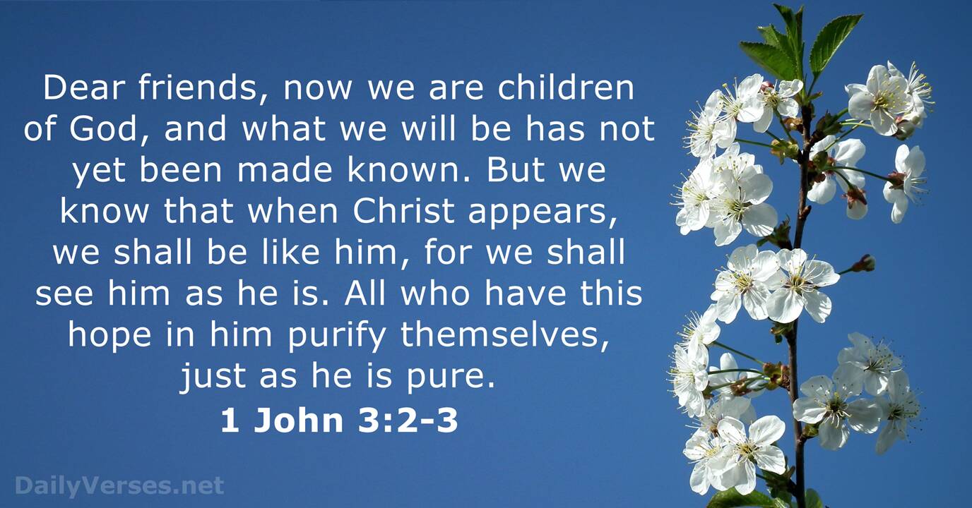 April 14 2016 Bible Verse Of The Day 1 John 3 2 3 DailyVerses