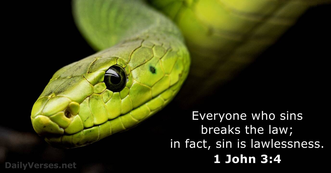 February 10 2022 Bible Verse Of The Day 1 John 3 4 DailyVerses