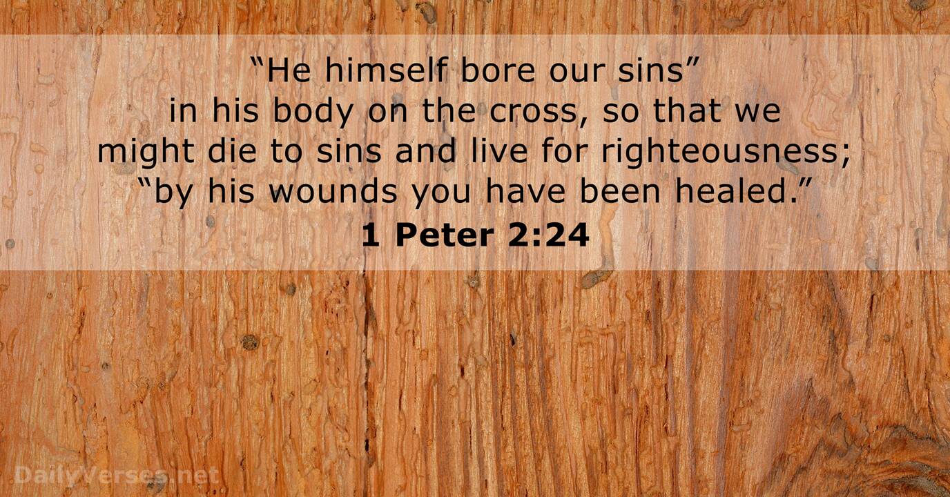 1 Peter 2:24 - Bible verse - DailyVerses.net