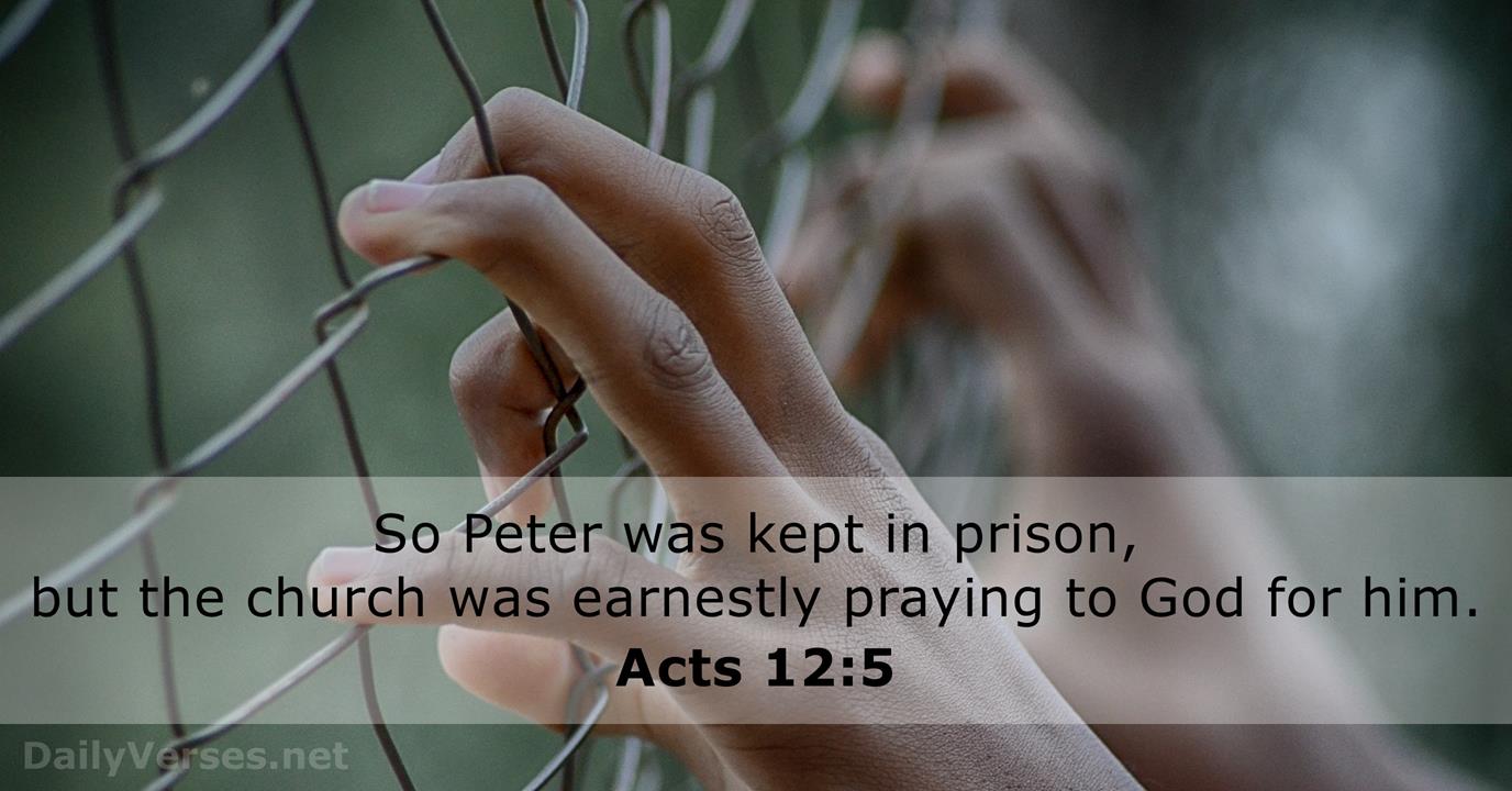 June 8 2017 Bible Verse Of The Day Acts 12 5 DailyVerses