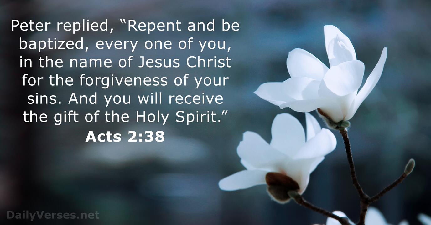 Acts 2 38 KJV Bible Verse Of The Day DailyVerses