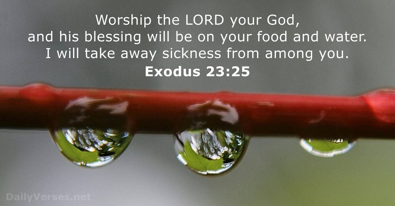 Exodus 23:25 - Bible verse - DailyVerses.net