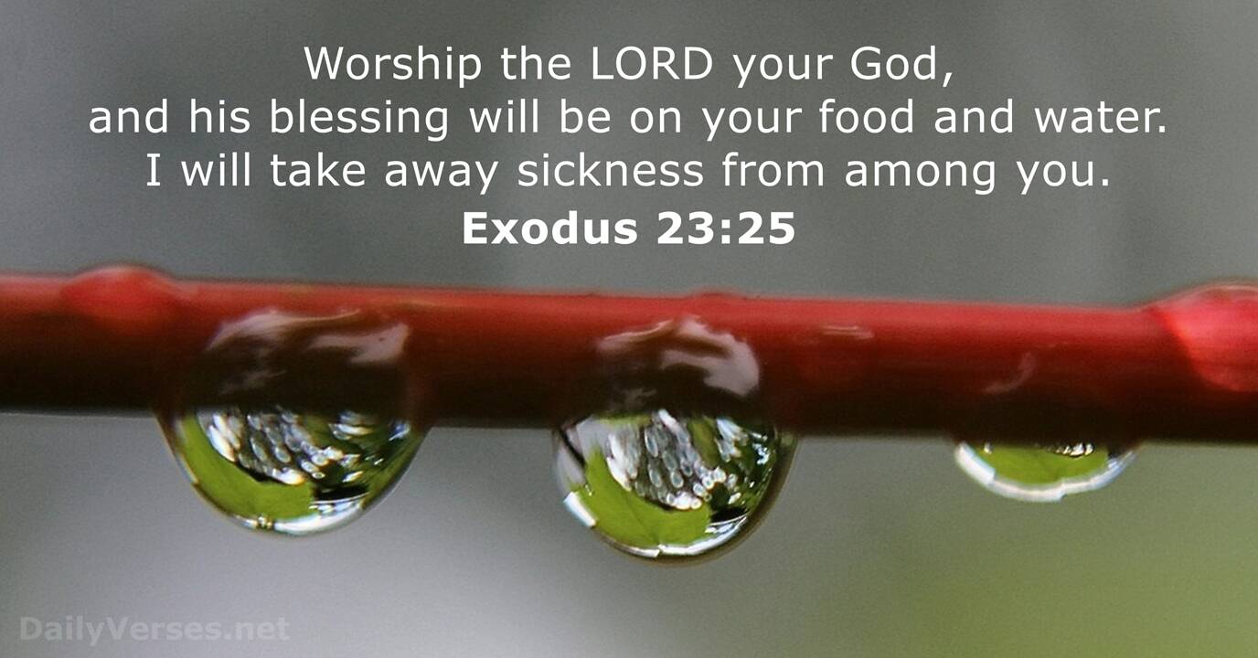 Exodus 23 25 Bible Verse DailyVerses exodus-23-25-bible-verse-dailyverses